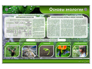 Электрифицированный стенд "Основы экологии"