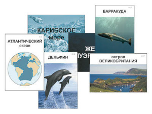 Модель-аппликация "Океаны. Знакомство" (ламинированная)