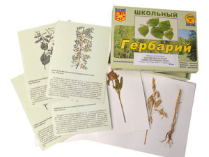 Гербарий "Систематика растений. Семейство Бобовые. Злаки" (раздаточный)