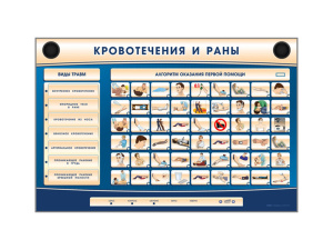 Трехсекционный базовый комплект "Травмы. Кровотечения. Ожоги" для сотрудников предприятий