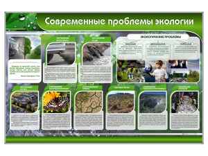 Стенд "Современные проблемы экологии"