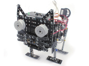 Ресурсный набор Robo kit 5-6