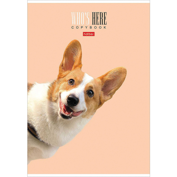 Тетрадь А4 96л. клетка HATBER, картонная обложка, "Кто здесь?" (4 вида), 96Т4лВ1