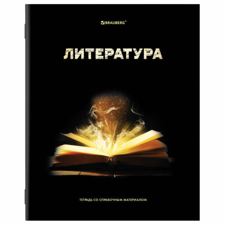 Тетради предметные, КОМПЛЕКТ 12 ПРЕДМЕТОВ, "SHADE", 48 л., глянцевый УФ-лак, BRAUBERG