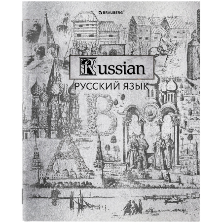 Тетради предметные, КОМПЛЕКТ 12 ПРЕДМЕТОВ, SILVER, 48л, С СЕРЕБРЯНОЙ ОБЛОЖКОЙ, BRAUBERG